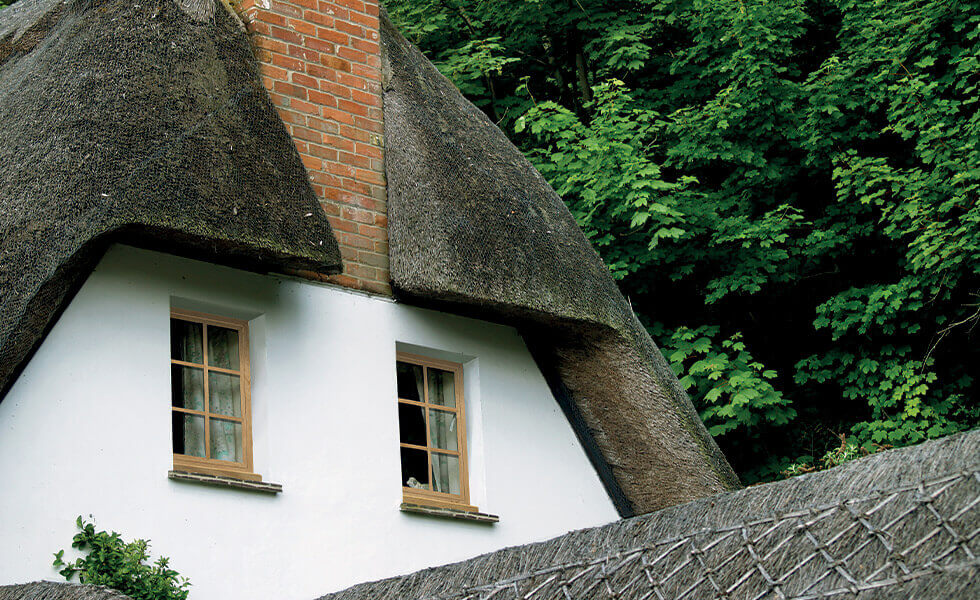 Timber Effect Windows